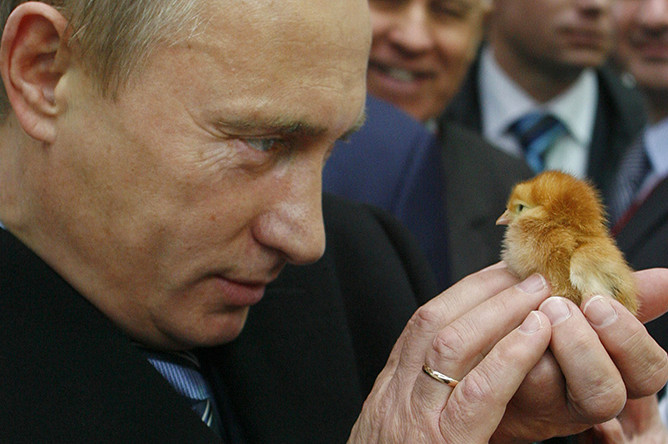 Владимир Путин во время посещения агропромышленной выставки «Золотая осень» на ВВЦ, 2008 год
