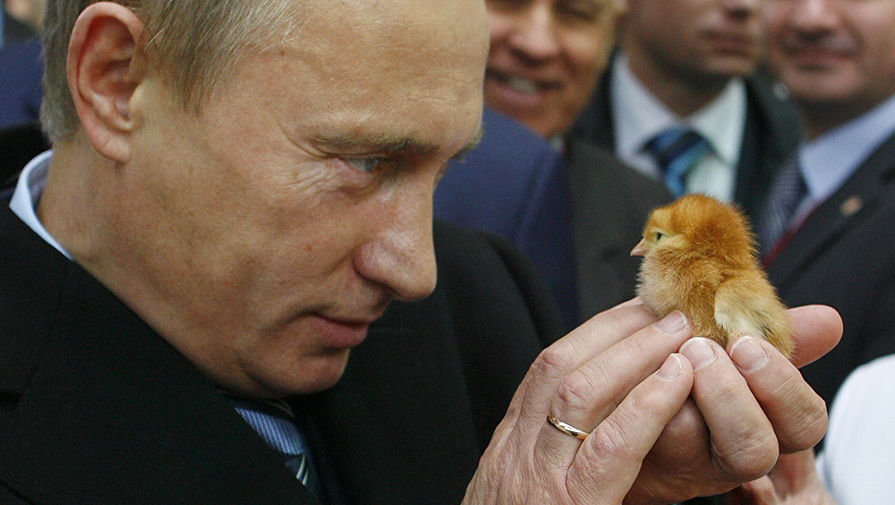 Владимир Путин во время посещения агропромышленной выставки &laquo;Золотая осень&raquo; на&nbsp;ВВЦ, 2008 год
