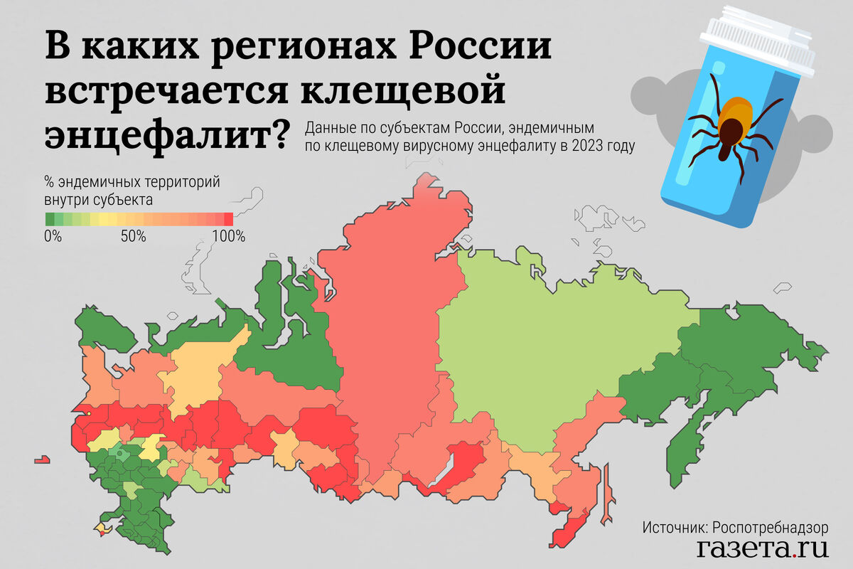 Россиянам объяснили, когда сделать вакцинацию от клещевого энцефалита -  Газета.Ru | Новости