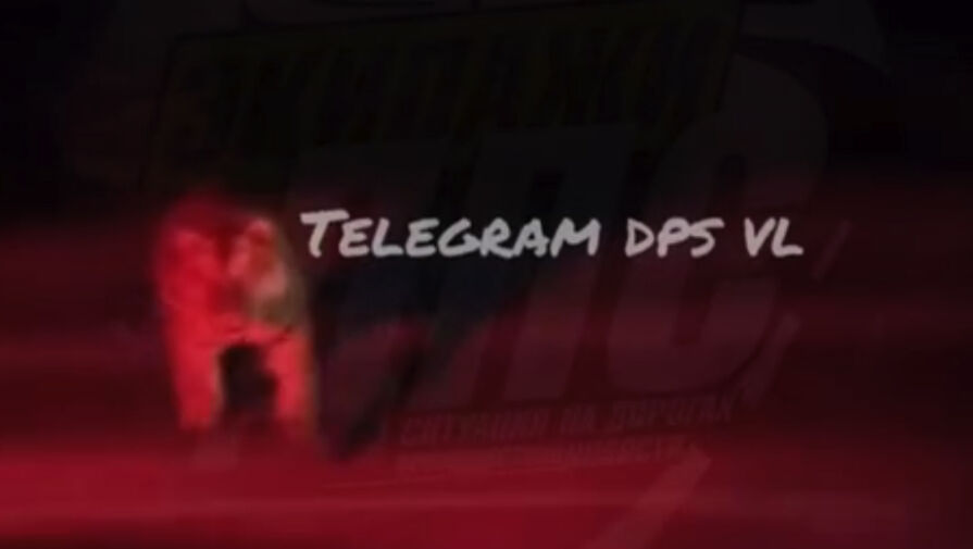 Быстрей едь!: тигр атаковал машину с приморцами и попал на видео