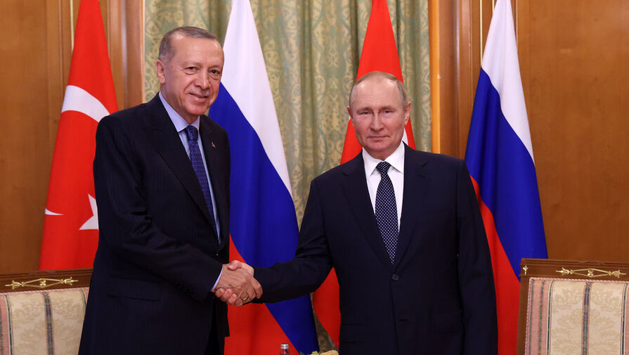 Новак: РФ и Турция договорились о частичной оплате поставок газа в рублях