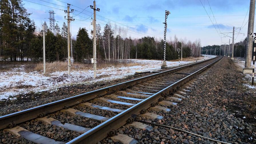 В России могут отказаться от строительства Северо-Сибирской магистрали