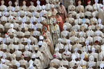 Епископы прибыли на мессу перед церемонией канонизации на площади Святого Петра в Ватикане