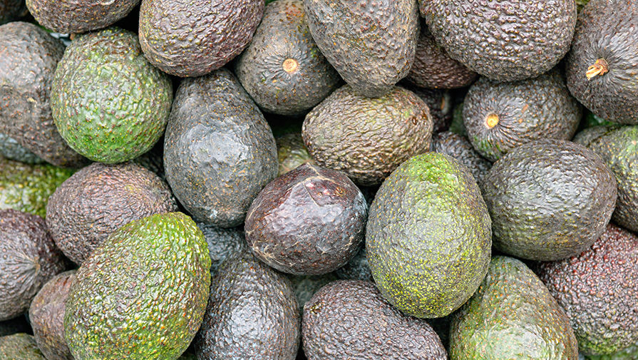 Венесуэла начала поставлять в Россию авокадо