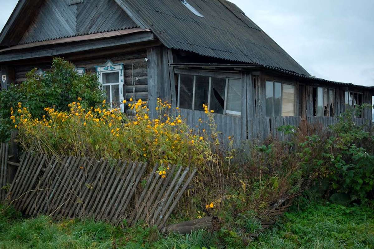 В Думе рассказали, как оформить на себя соседский заброшенный садовый  участок - Газета.Ru | Новости