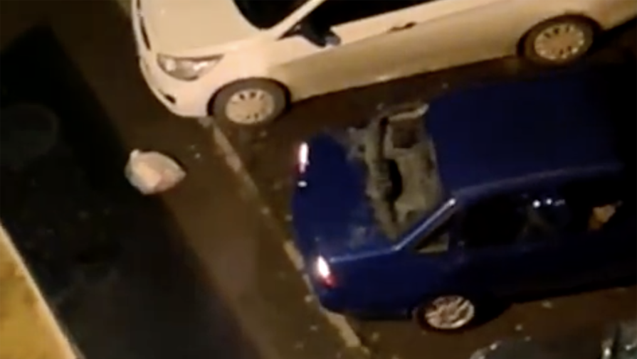 В Екатеринбурге женщина выбросила пакет с мусором из окна и разбила им чужую машину