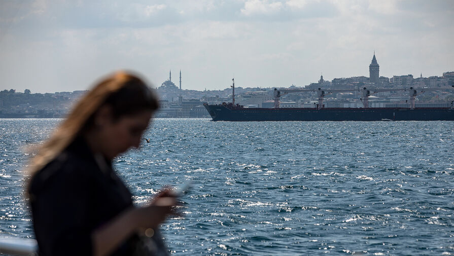 Турция предупредила РФ о риске напряженности из-за досмотра сухогруза 