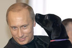 Владимир Путин с щенком, рожденным его любимой собакой лабрадором Кони, которого он подарил шестилетней девочке Кате из Смоленска. 2004 год