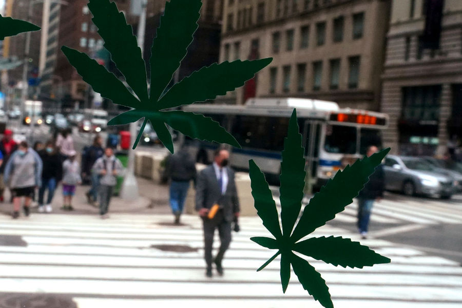 В нью йорк легализовано марихуану как распознать хорошую коноплю