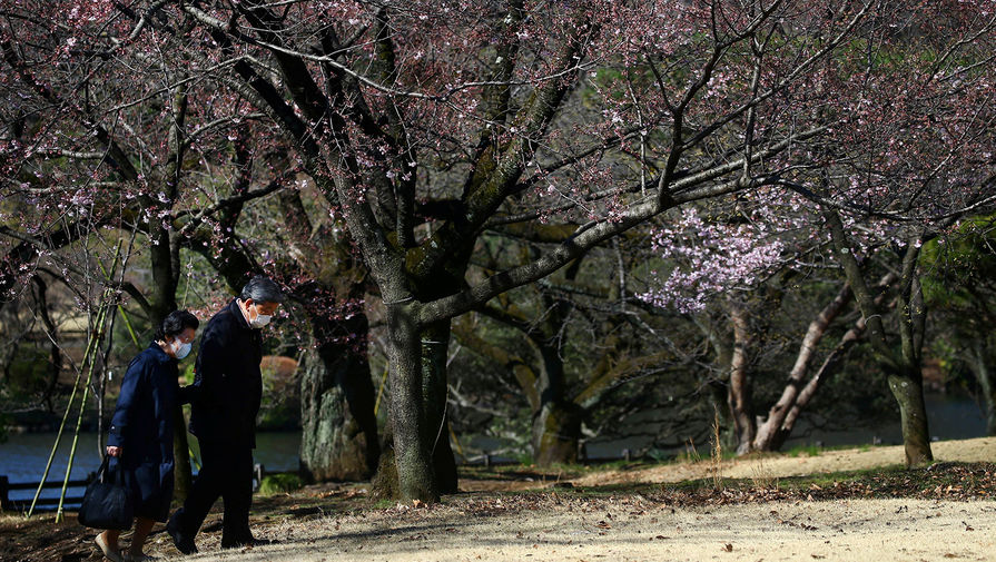 Посетители в&nbsp;масках в&nbsp;парке Синдзюку-Геэн в&nbsp;Токио, 11 марта 2020 года 