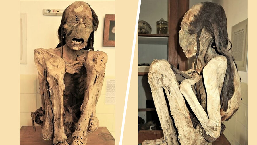 Медики обнаружили, что индейские мумии пали жертвами жестоких убийств