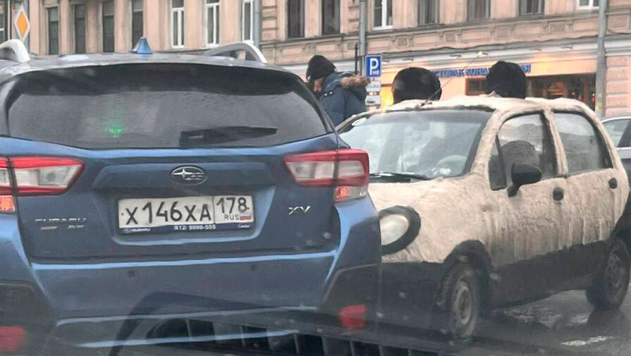 Автомобиль-панда попал в ДТП в Санкт-Петербурге