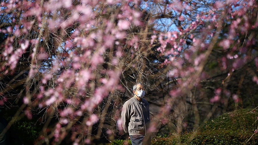 Посетитель в&nbsp;маске любуется ранним цветением сакуры в&nbsp;парке Синдзюку-Геэн в&nbsp;Токио, 11 марта 2020 года 