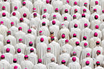 Епископы принимают участие в мессе канонизации на площади Святого Петра в Ватикане