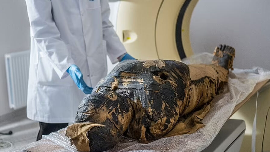 Виртуальное вскрытие показало причины смерти мумифицированного младенца-аристократа из 17 века