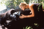 <b>«Могучий Джо Янг» (1998)</b>
<br><br>
В этом приключенческом фильме Шарлиз Терон появилась в роли молодой женщины по имени Джилл, взявшей под опеку гигантскую гориллу Джо – после того, как ее мать-приматолог и мать самой гориллы погибли от рук браконьера. Из-за опасности, грозящей обезьяне, Джилл вместе с гигантским животным покидает заповедник в Африке и отправляется в Лос-Анджелес.