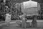 Выступление Народного артиста РСФСР Владимира Дурова с дрессированным слоном Максом на арене Московского цирка, 1939 год