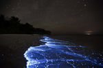 Море Звезд на острове Ваадху, Мальдивы