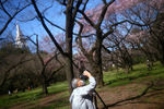 Посетитель в маске фотографирует цветение сакуры в парке Синдзюку-Геэн в Токио, 11 марта 2020 года 