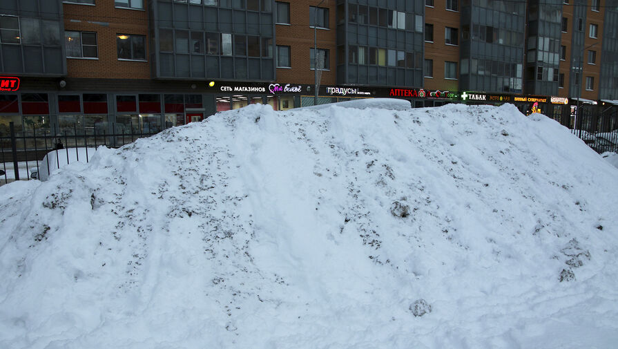 Высота сугробов в Москве достигла максимума с начала зимы