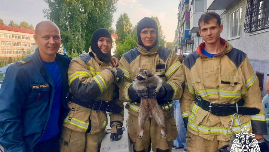 В кузбасском городе енот забрался в квартиру и спрятался в кладовке