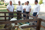 Премьер-министр РФ Дмитрий Медведев во время визита на сельскохозяйственное предприятие в Краснодарском крае