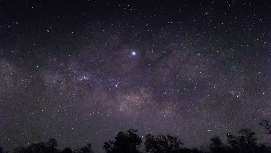 sky full stars silhouettes trees pic905 895x505 93054