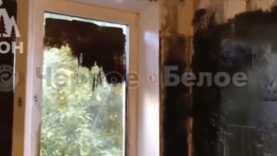 Жильцы разгромили мебель и покрасили стены в черный в квартире россиянки