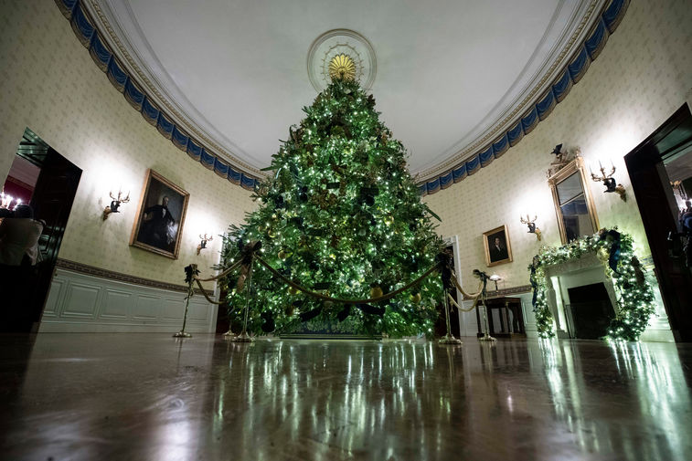 Главная рождественская ель Белого дома в Голубой комнате, 2 декабря 2019 года
