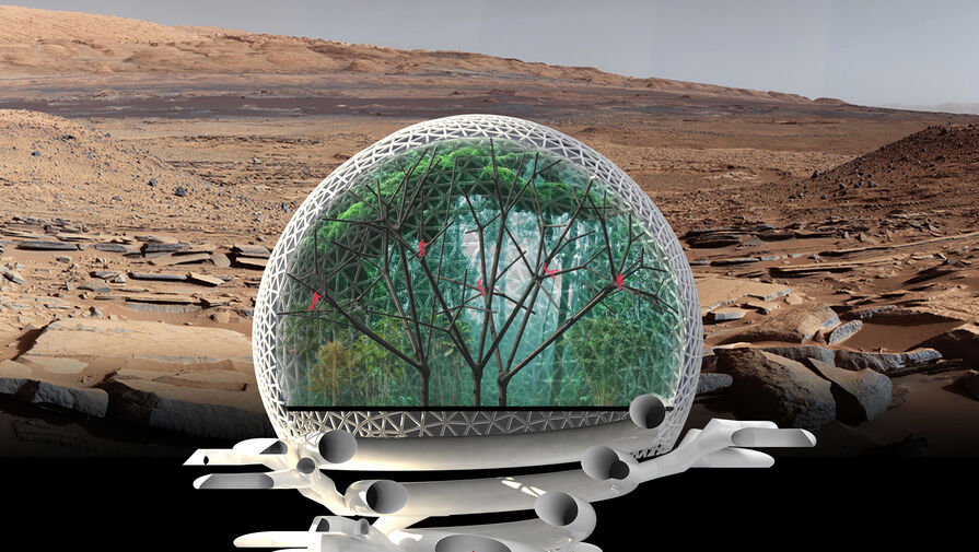 Американские ученые предложили выращивать на Марсе люцерну