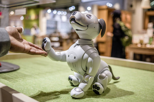 Робот Aibo