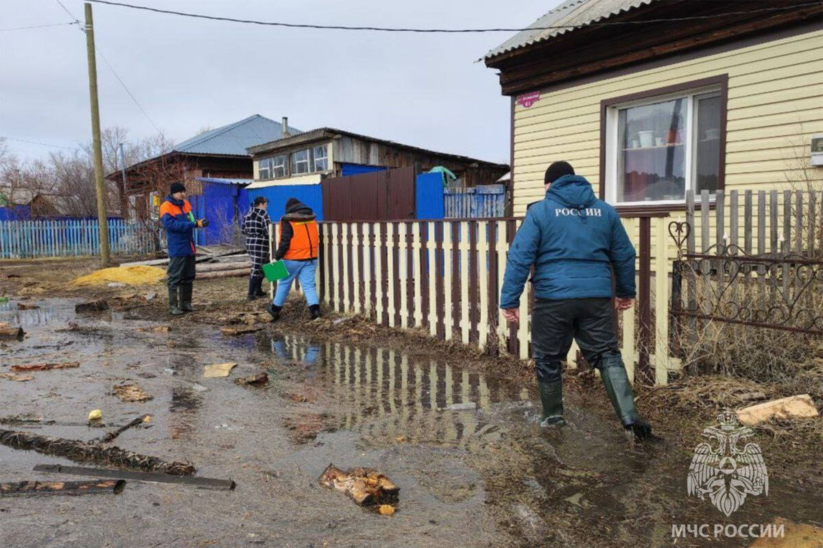 В части Курганской области введут запрет на продажу алкоголя - Газета.Ru |  Новости