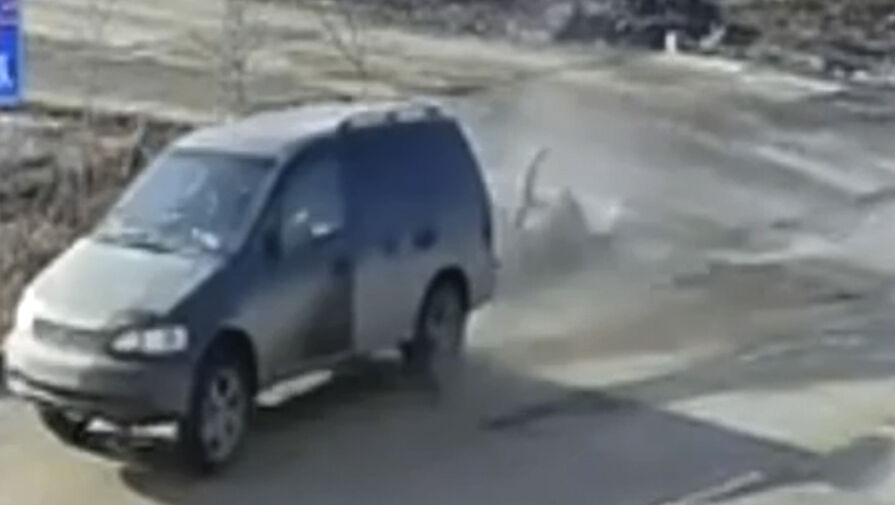 Водитель минивэна потерял пассажиров, наехал на пешехода и ввязался в драку в Новосибирске