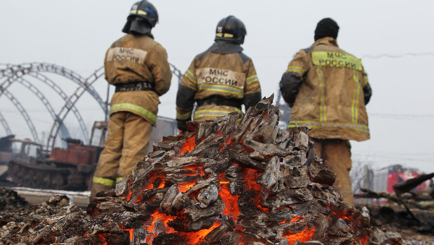 Площадь природных пожаров в Свердловской области составляет 20 тысяч гектаров