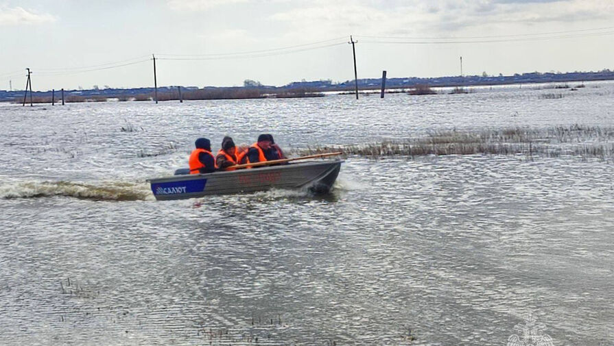 Названо число эвакуированных жителей Курганской области из-за наводнения