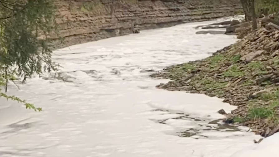 Белая пена, покрывшая реку в США, оказалась шампунем для собак