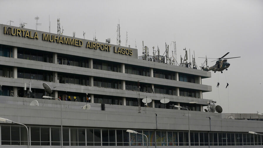 В аэропорту Нигерии перехватили 7 тысяч контрабандных ослиных пенисов