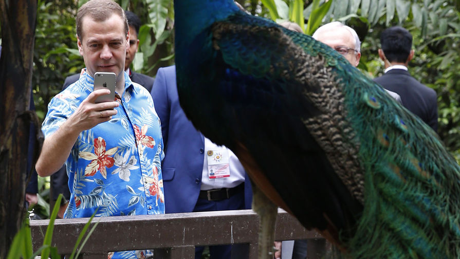 Премьер-министр РФ Дмитрий Медведев в&nbsp;одном из&nbsp;парков в&nbsp;Куала-Лумпуре
