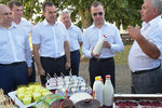 Дмитрий Медведев во время осмотра образцов готовой продукции на сельскохозяйственном предприятии в Краснодарском крае