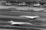 Самолеты «Конкорд» авиакомпаний British Airways и Air France на ВПП Международного аэропорта имени Джона Кеннеди после первых коммерческих перелетов из Лондона и Парижа в Нью-Йорк, 1977 год
