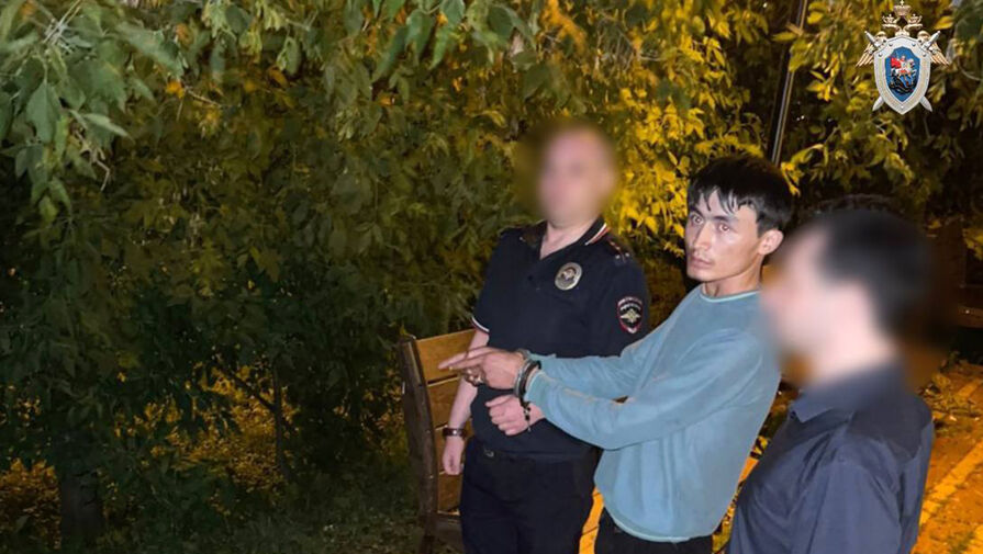 Двоих мигрантов обвинили в изнасиловании женщины на северо-западе Москвы