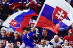 Болельщики сборной Словакии на матче группового этапа чемпионата мира по хоккею между сборными командами России и Словакии.