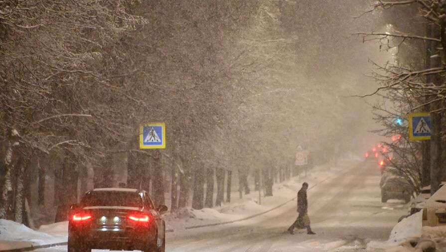 Синоптик пообещал москвичам снег на следующей неделе