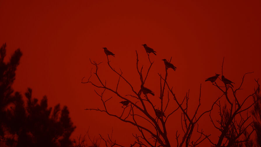 Крит накрыло зловещее красно-оранжевое облако