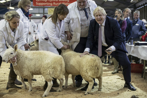 Премьер-министр Великобритании Борис Джонсон во время посещения сельскохозяйственной выставки в&nbsp;Уэльсе, 2019&nbsp;год
