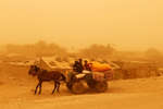 Восточная часть Багдада во время песчаной бури, 23 мая 2022 года