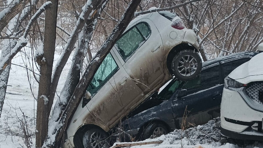 В Барнауле две машины съехали в кювет и врезались в одно и то же дерево