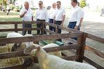 Премьер-министр РФ Дмитрий Медведев во время визита на сельскохозяйственное предприятие в Краснодарском крае