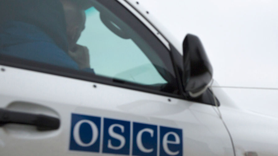 Делегации Крыма не дали выступить в ОБСЕ