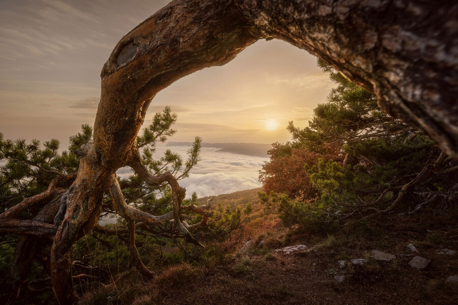 Денисенко Антон
<br><br>
<b>За облаками всегда светит солнце</b>